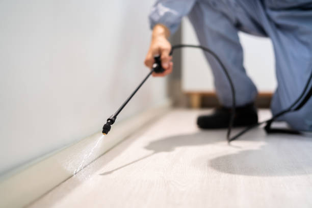 Licensed Pest Control service in Lincoln City, OR - Show Me Pest Control