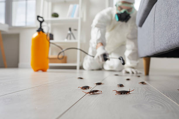 Commercial Kitchen Cockroach Control in Lincoln City