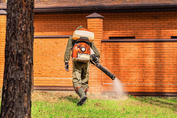 Cockroach Follow-Up and Monitoring in Lincoln City
